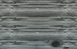 Weathered Wood