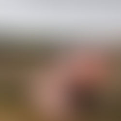 « 2025, c’était la meilleure année de ma vie » - Y.