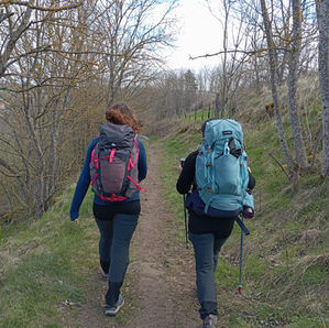 « Comme le Petit Prince protège sa rose, on protège le désir du jeune de vouloir vivre et non pas survivre »