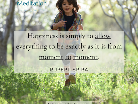 Happiness ~ Rupert Spira
