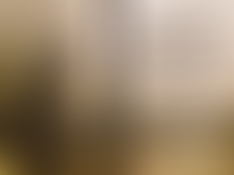 Atmananda krishna menon on External qualities