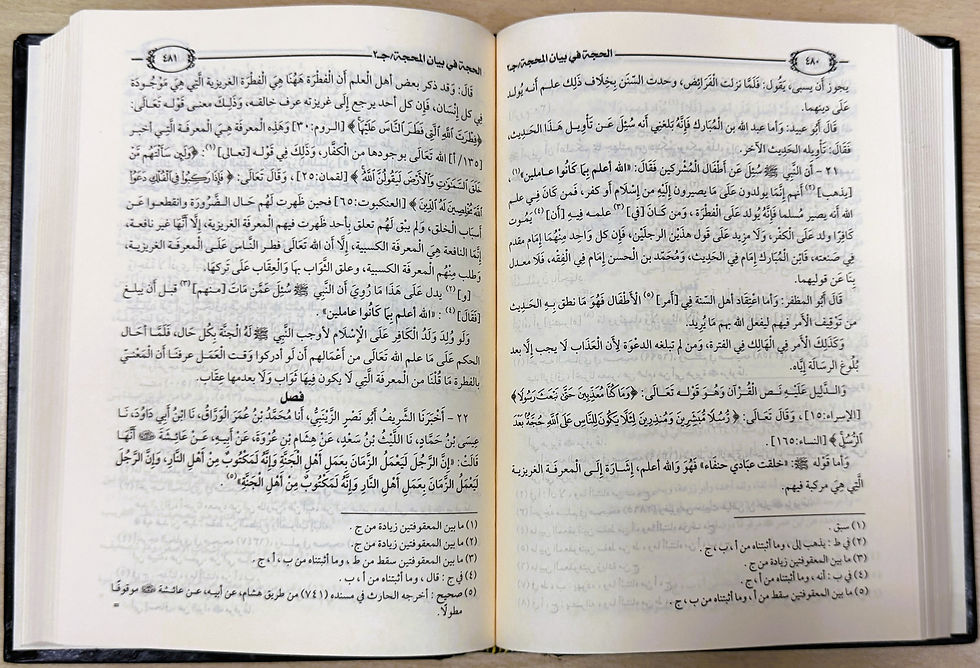 الصورة المصغرة: الحجة في بيان المحجة وشرح عقيدة اهل السنة