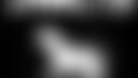 [Postponed] Kollective - Live in EU