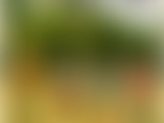 KARD 2024 Tour in Europe: Where To Now?