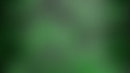 Like The First Time European Tour