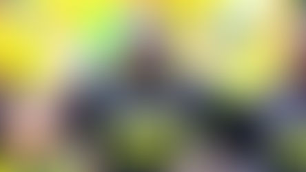 Comunicado Oficial: Prestamo Gustavo Charrupí