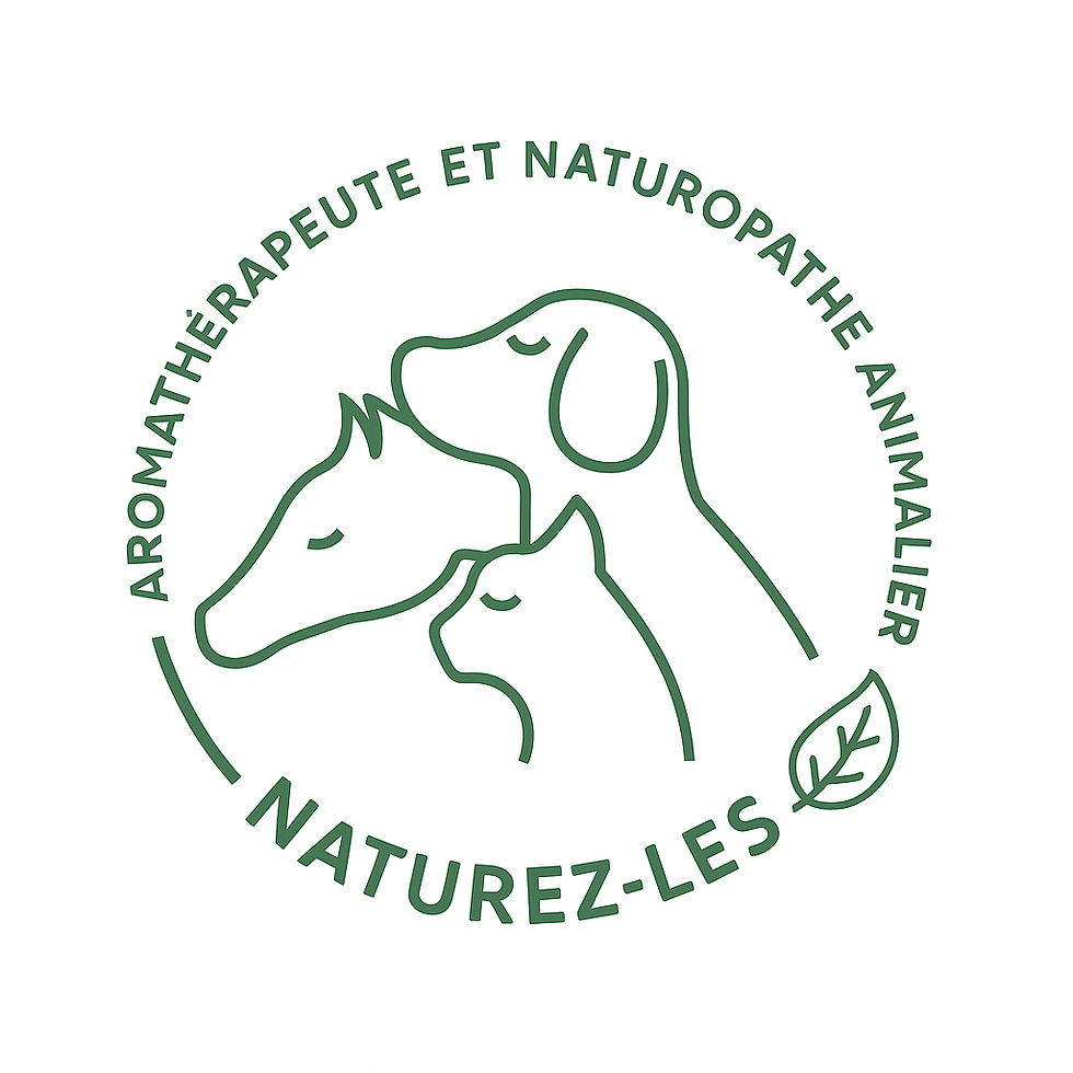 Les coulisses de Naturez-Les : au cœur du 100 % naturel et du sur-mesure 🌿