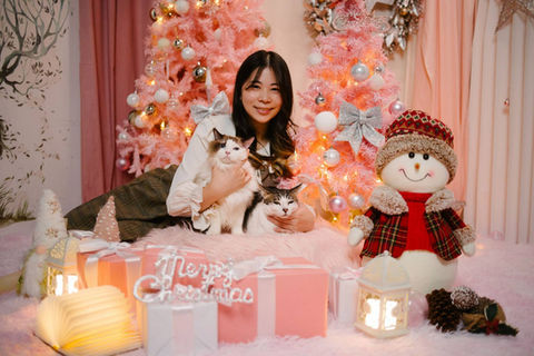 Photo of two cats and a person in a pink christmas scene at photo studio