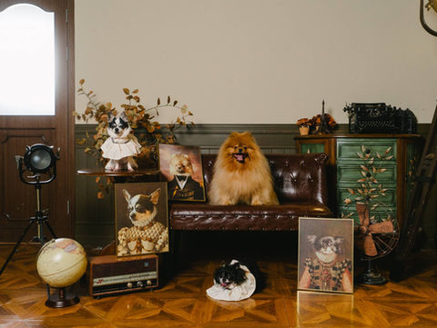 Photo of dog at photo studio