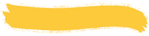 Asset 5_4x.png