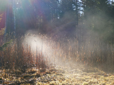 Now You Can Blog from Everywhere