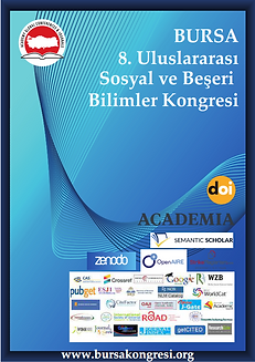 8 bursa_003.png