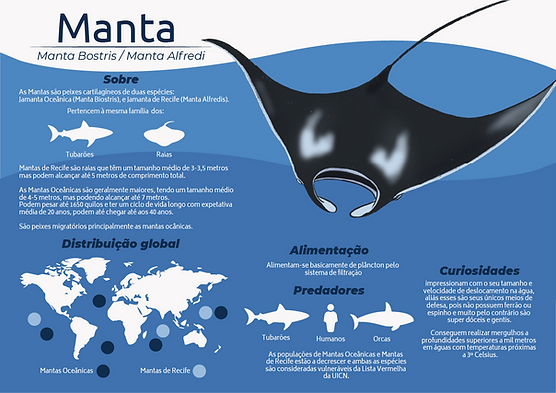 infografico manta.png
