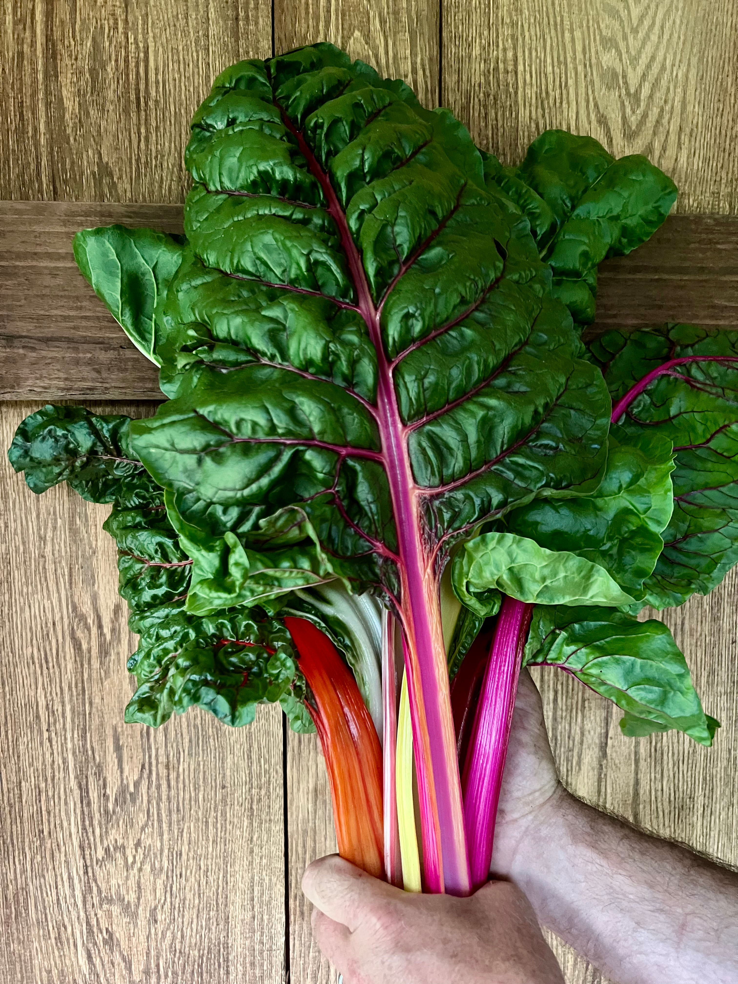 Swiss chard