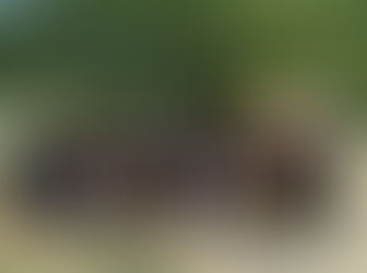 コンクール終了しました!