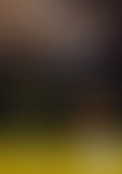 今年も定期演奏会を行います!