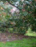 thumbnail%20(1)_edited.jpg