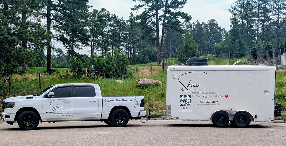 truckandtrailer.png