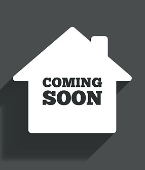 WhatsApp Image 2025-06-23 at 20.31.26_e344ec38.jpg