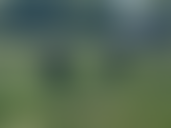 Adding to our beef herd