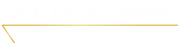 BULUGA特徴.png