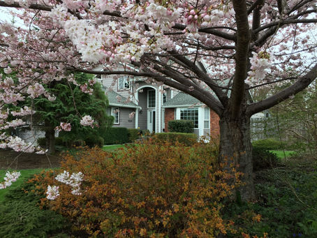 How is it done? Home Maintenance Tips!
