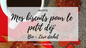 RECETTE : MES BISCUITS POUR LE PETIT DEJ' - BIO & ZERO DECHET