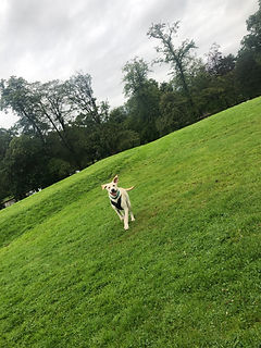 IMG_1902.jpeg