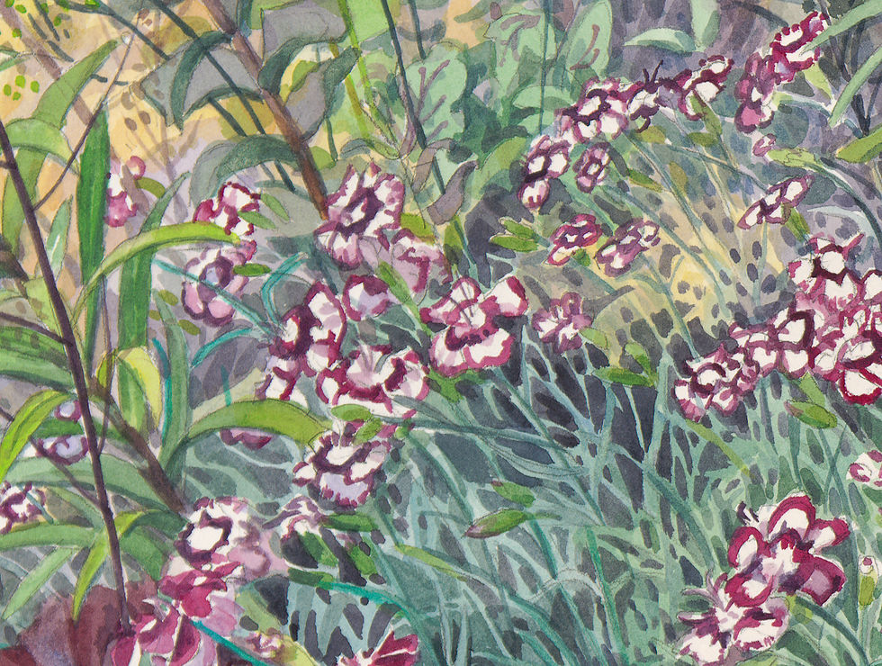Thumbnail: Detail of watercolor painting of dianthus "pinks" by Catherine M. James