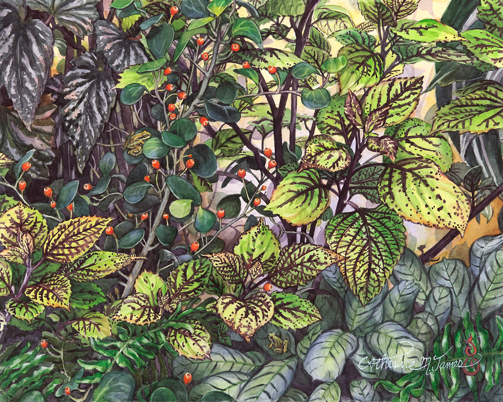 Watercolor painting of tropical plants by Catherine M. James