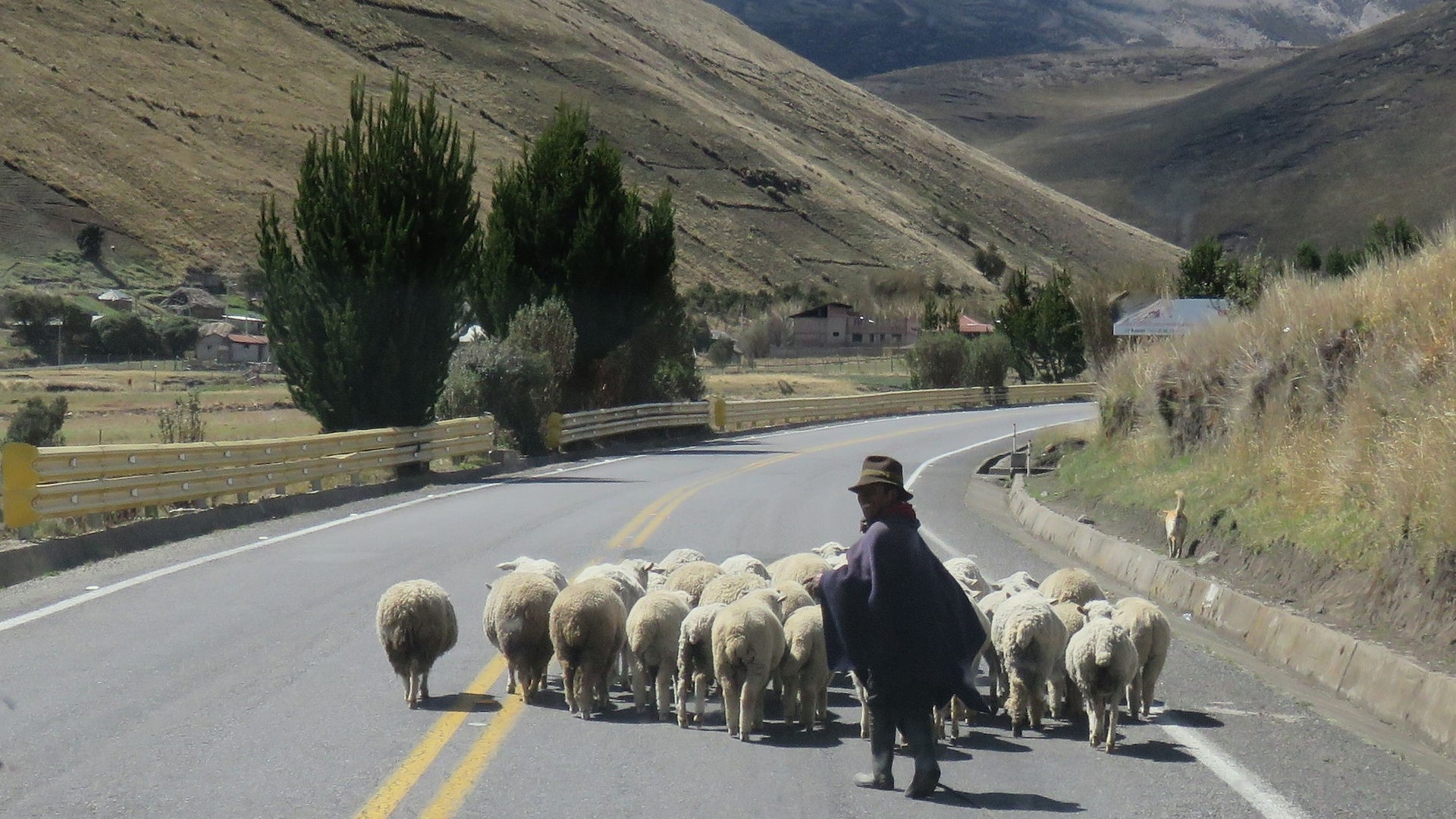 Le chimborazo