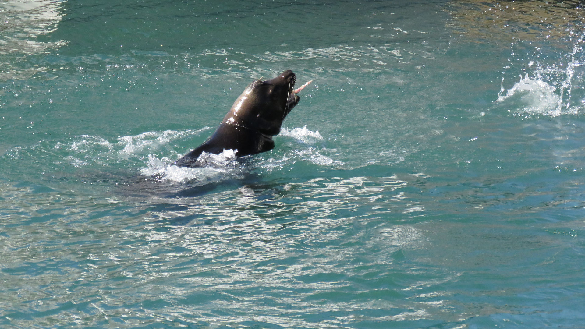 La Basse Californie