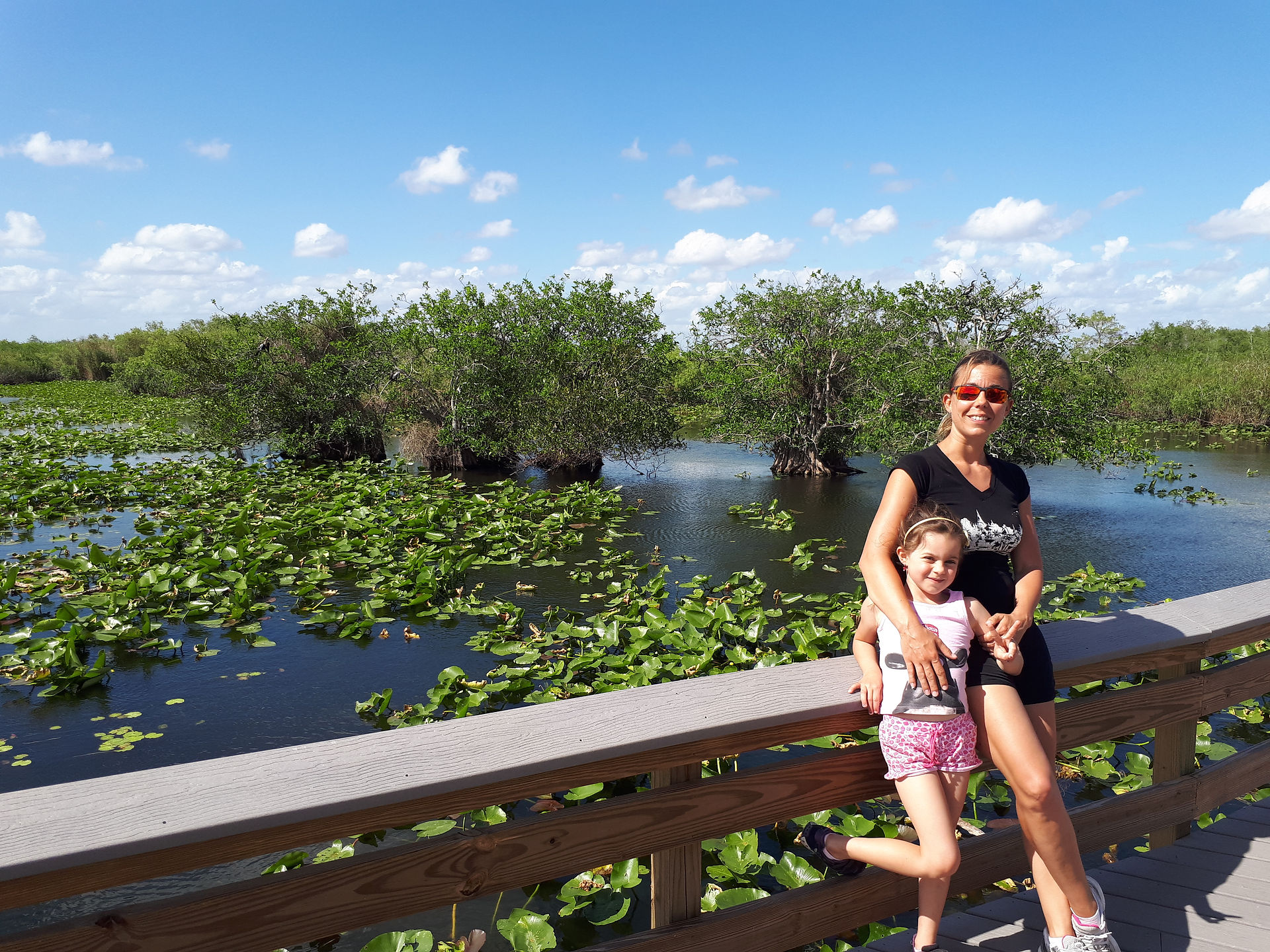 Everglades