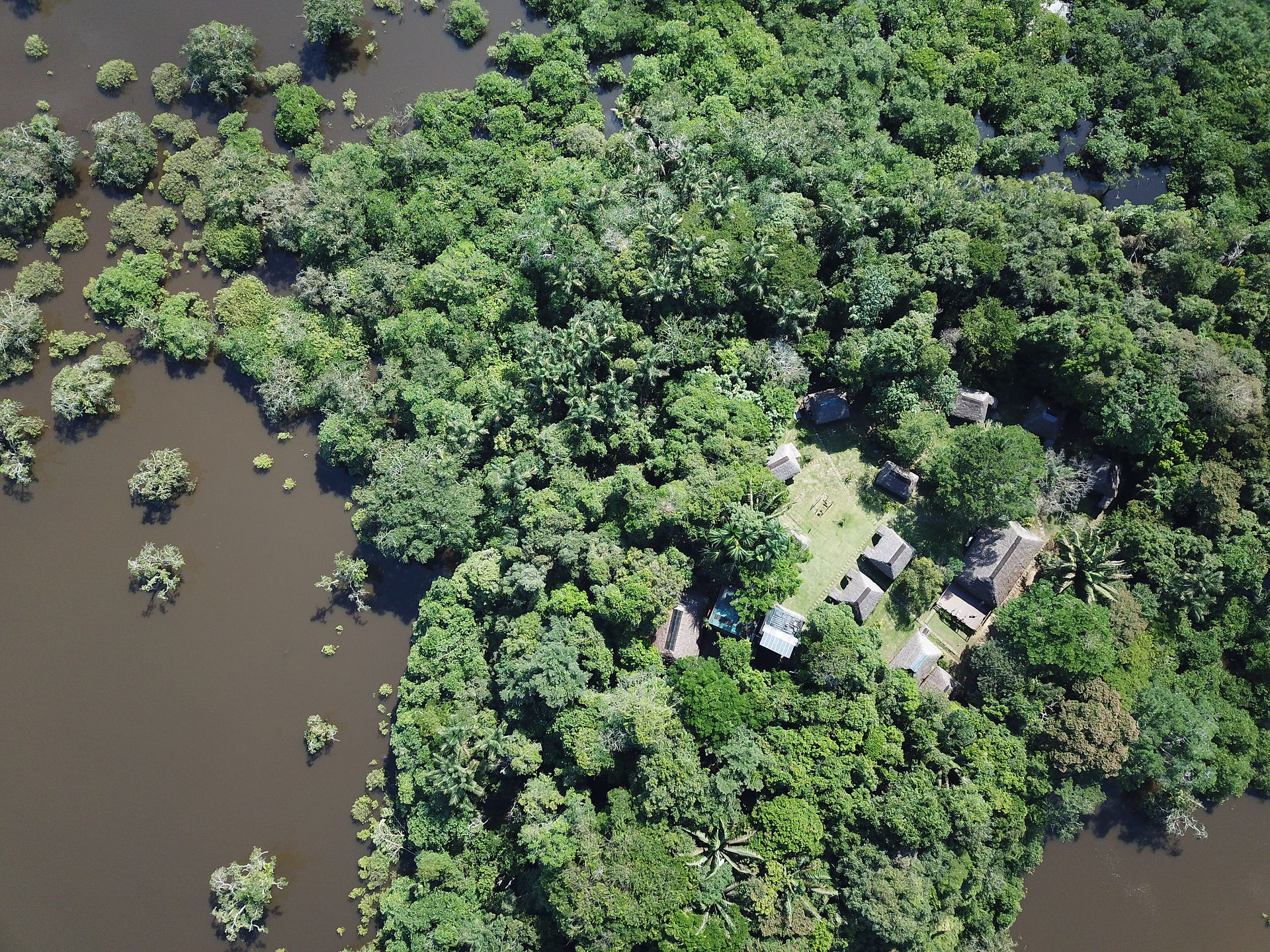 La réserve de Cuyabeno