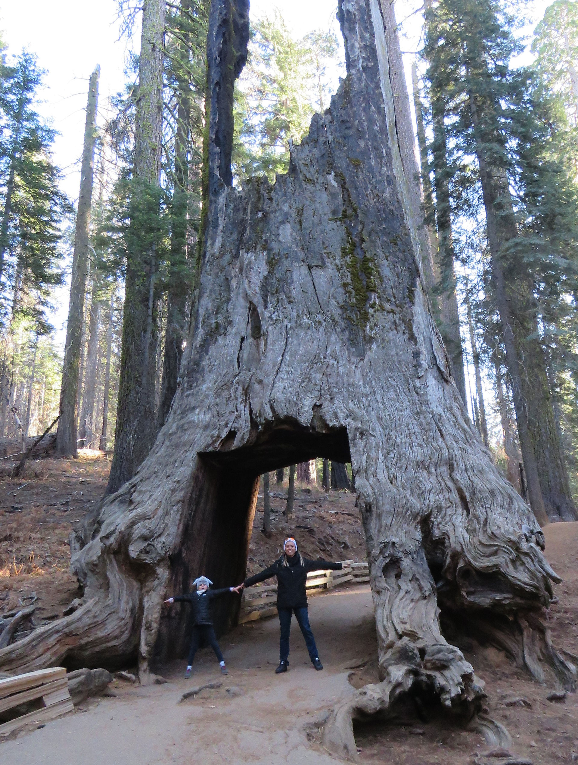 Parc National de Yosemite