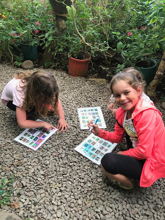 le jardin aux papillons
