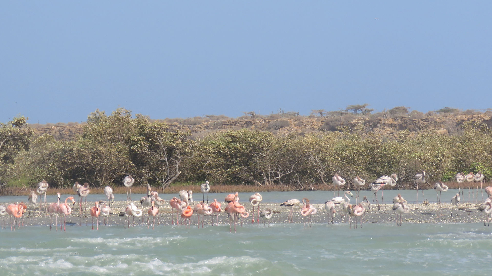 Péninsule de Guajira