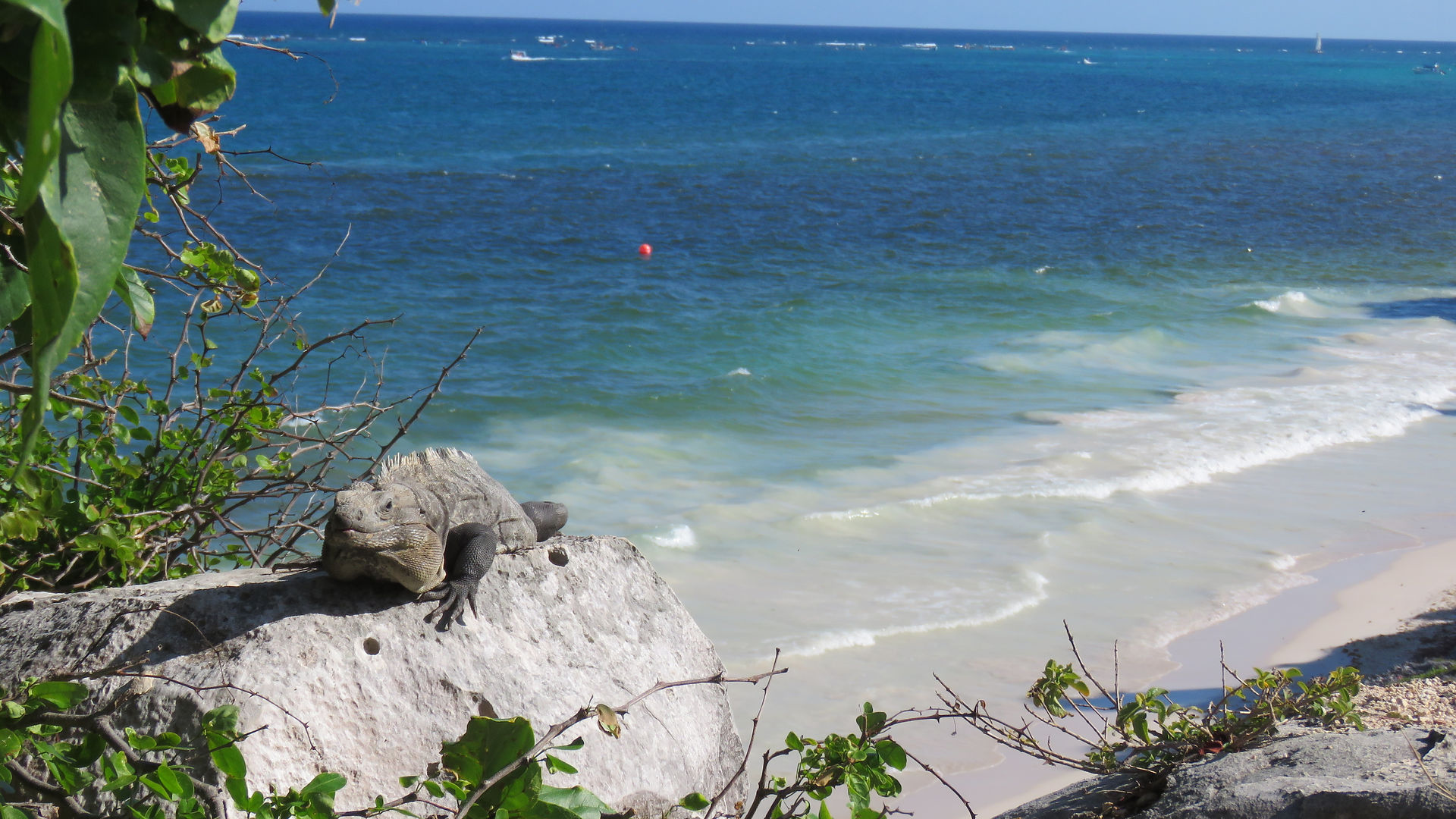 Tulum