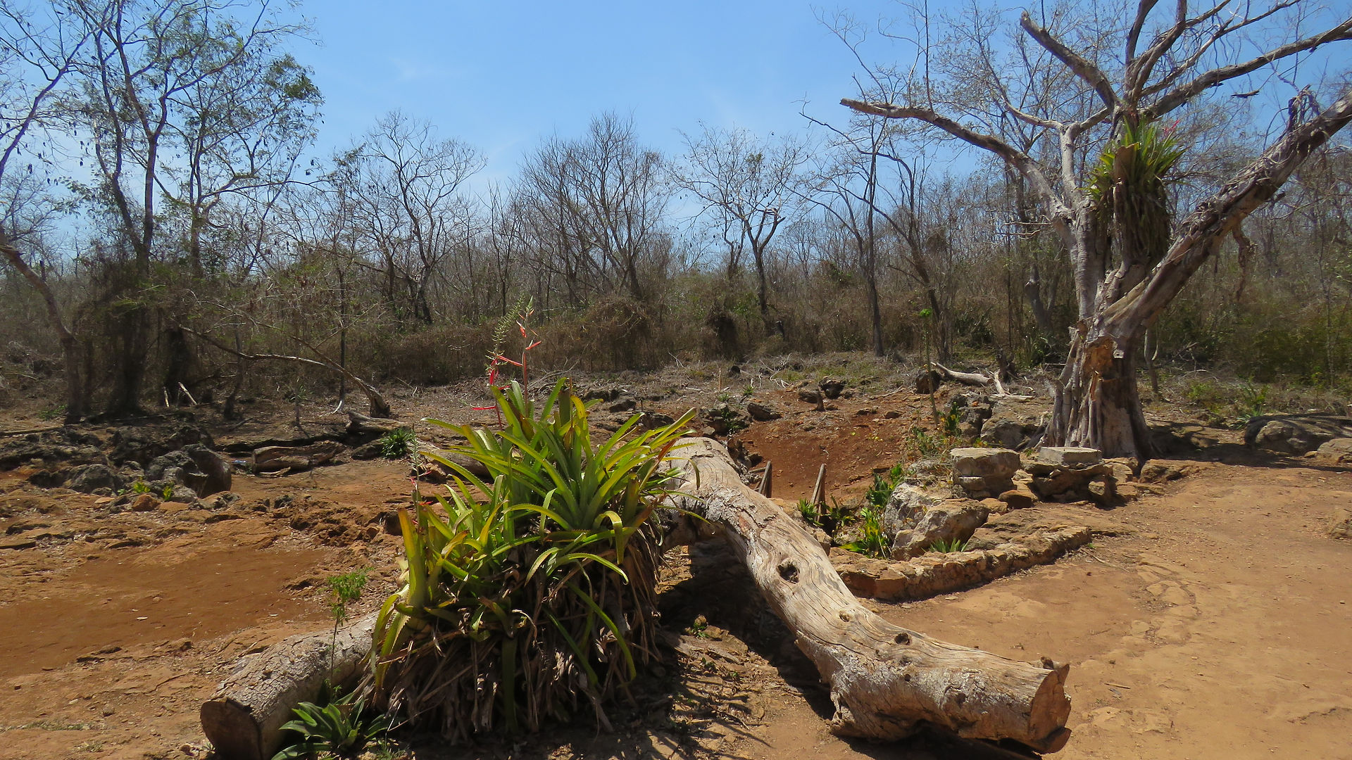 cenote de Kankirixche