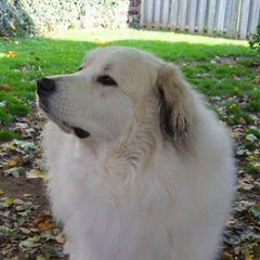 Phyllis enjoying a Fall day