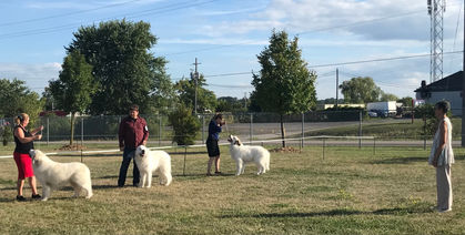 2022 GPCC National Specialty - Judging