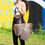 Thumbnail: SF203 - Checkerboard Chic Tote(LARGE BAGS)