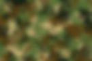 polygon hintergrund free.jpg