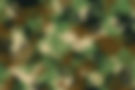 polygon hintergrund free_edited.jpg