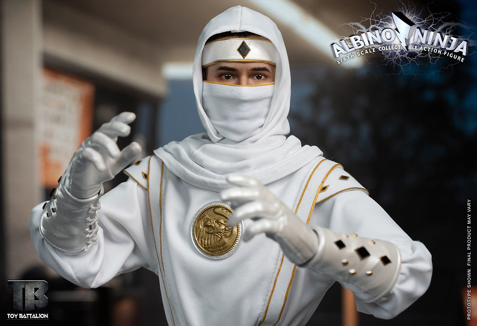 Thumbnail: Toys Battalion (TB011) 1/6 Albino Ninja
