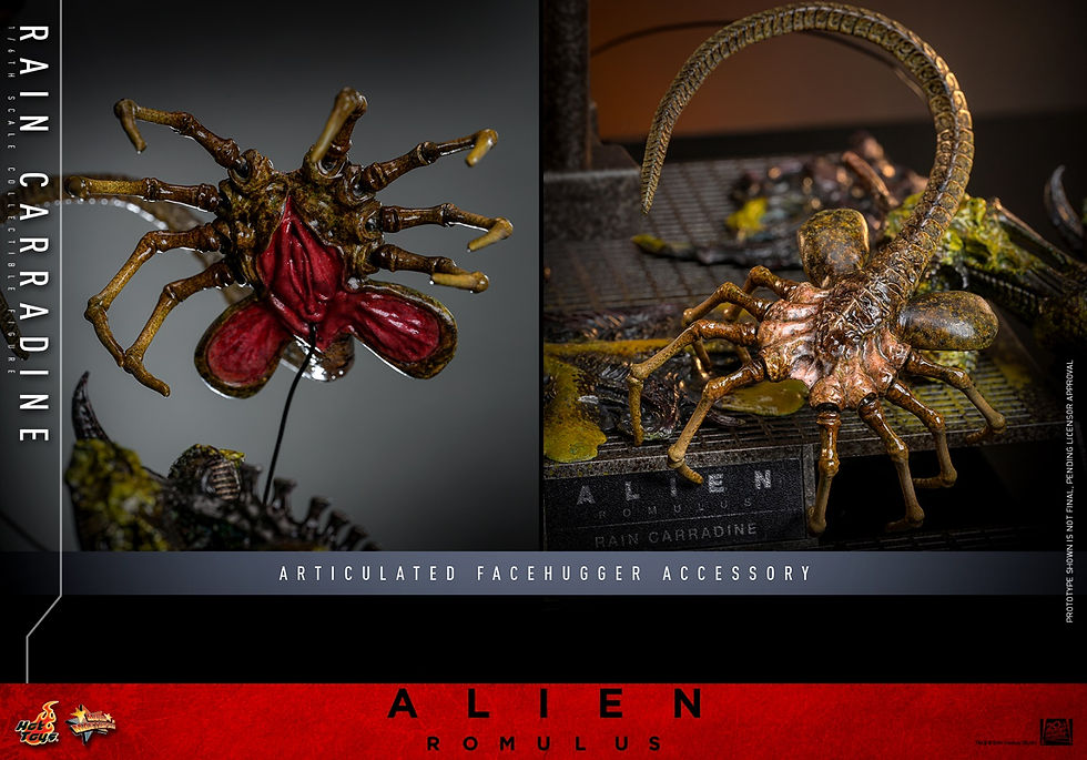 Thumbnail: Alien Romulus Rain Carradine 1/6  MMS793