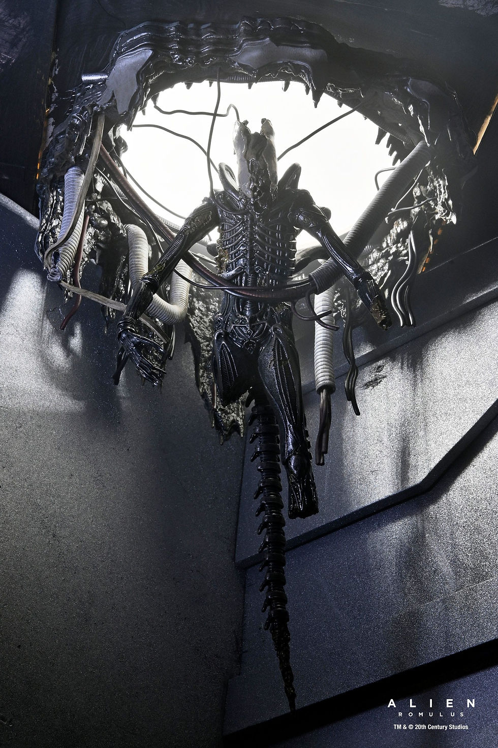 Miniatura: Alien: Romulus Action Figure Deluxe Suspended Lab Xenomorph XX121 18 cm