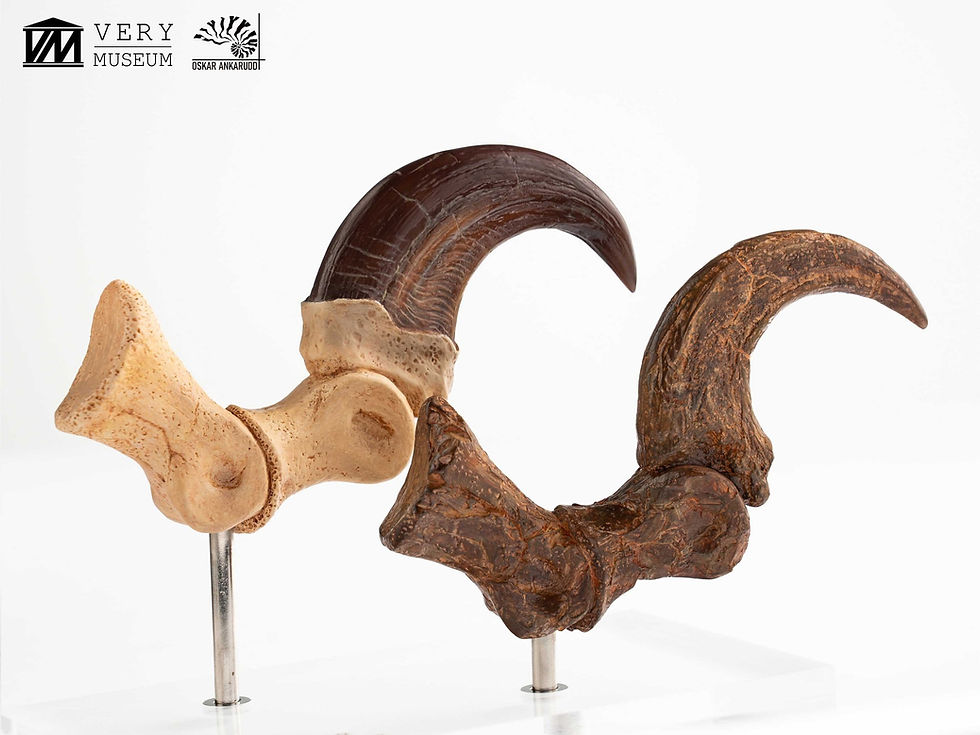 Miniatura: Jurassic Park Velociraptor Foot Claw and Fossil Claw Set 20 cm