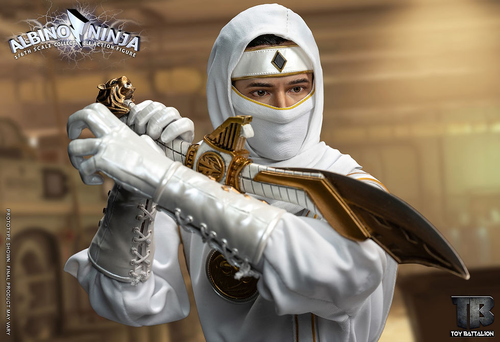 Thumbnail: Toys Battalion (TB011) 1/6 Albino Ninja