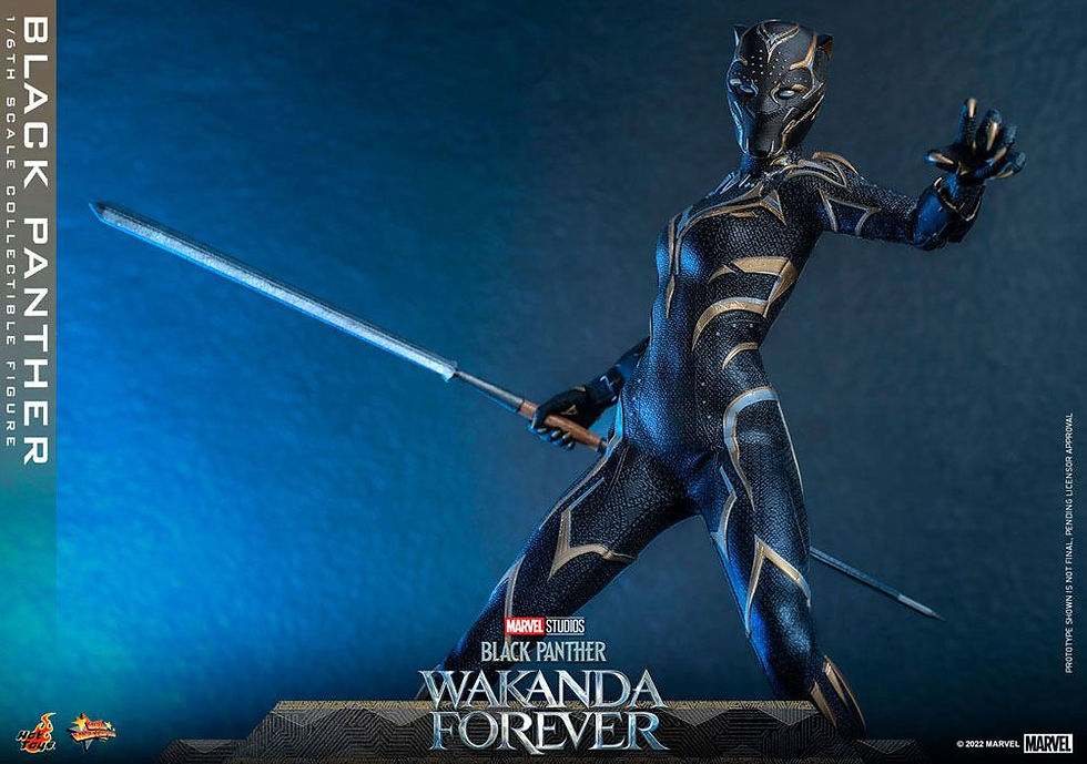 Miniatura: Black Panther: Wakanda Forever 1/6 Black Panther